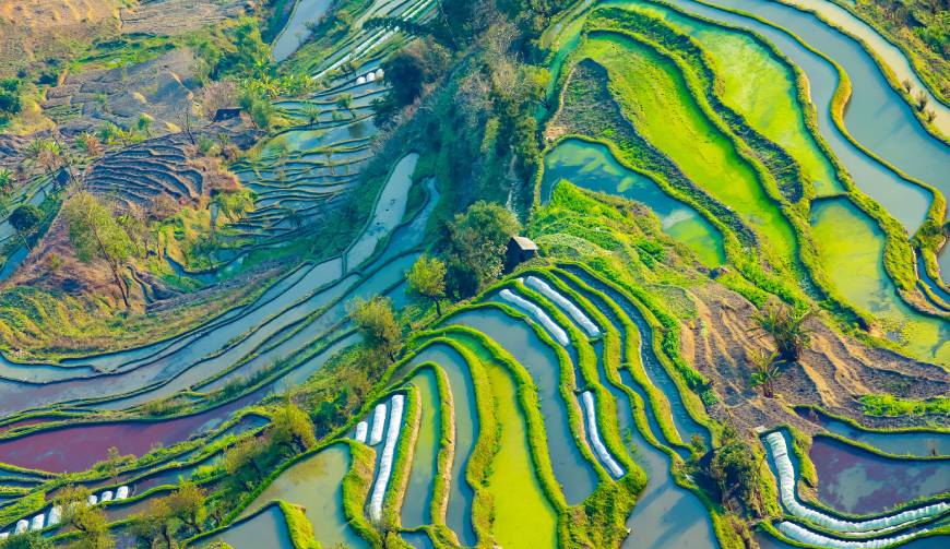 宝妈必备神器：积石山产品视频拍摄轻松育儿好帮手