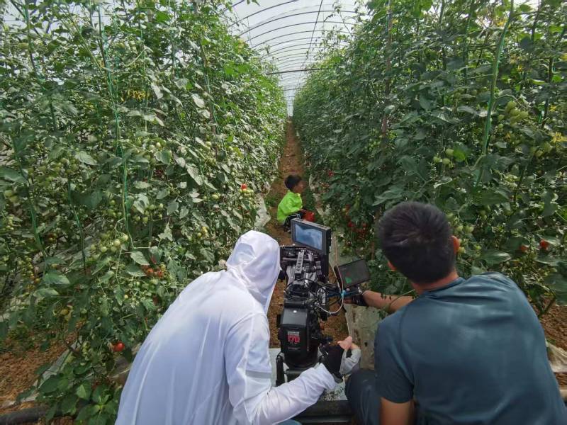 积石山产品宣传视频拍摄公司进阶指南，助力品牌抢占传播高地